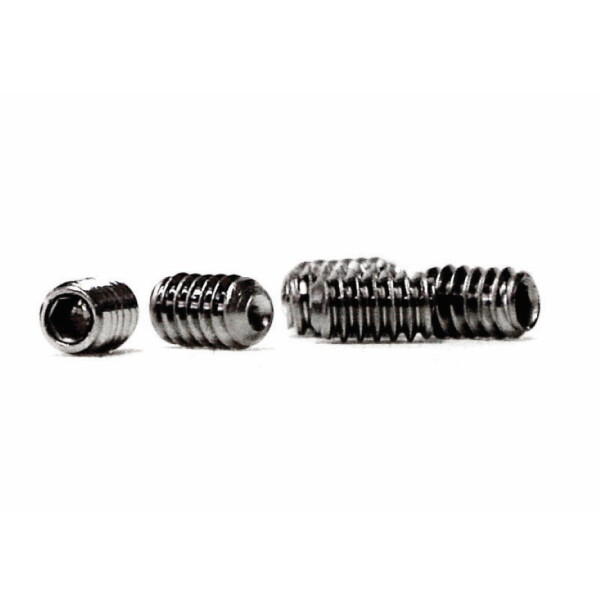 FCS Stainless Steel Screw - silver